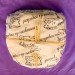 Camembert