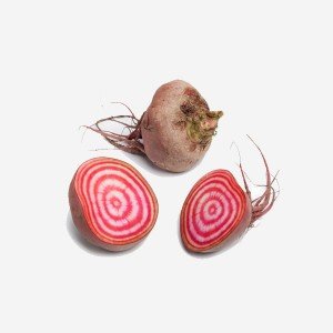 Betterave chioggia