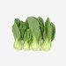 Choux Chinois Pak-Choi