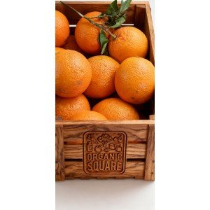Orange Navel